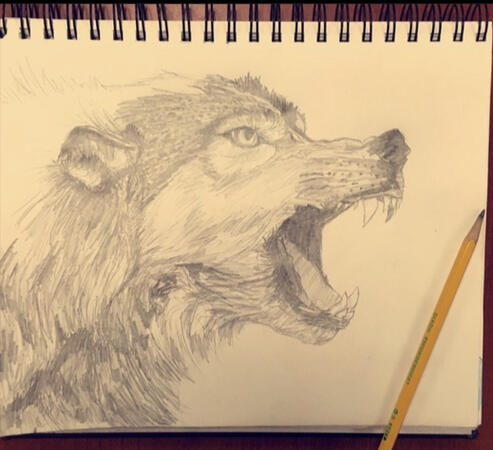 Untitled
